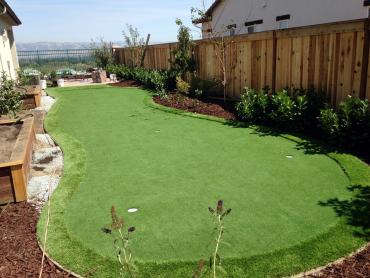 Artificial Grass Photos: Grass Carpet Santa Maria, California Outdoor Putting Green, Backyard Design
