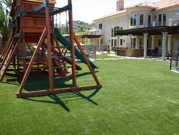 Artificial Grass Photos: Grass Turf Cuyama, California Playground Flooring, Beautiful Backyards