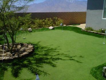 Artificial Grass Photos: Grass Turf Orcutt, California Design Ideas, Backyards