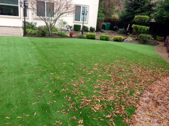 Artificial Grass Photos: Green Lawn Casmalia, California Backyard Playground, Backyard Designs