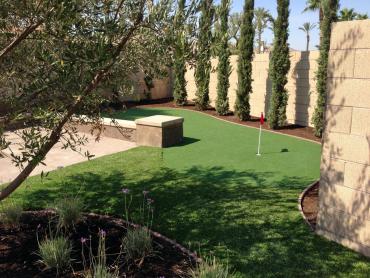 Artificial Grass Photos: Green Lawn Guadalupe, California Putting Green Carpet, Backyard Landscape Ideas