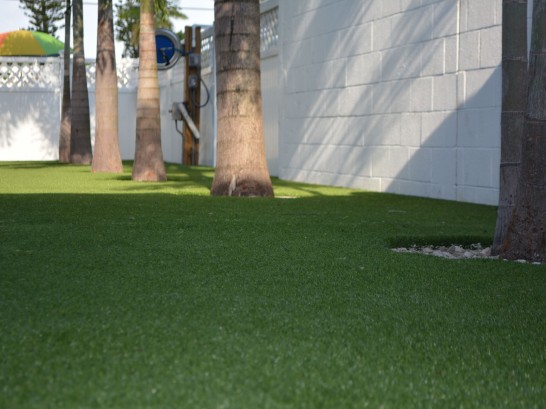 Artificial Grass Photos: How To Install Artificial Grass Goleta, California Rooftop, Commercial Landscape