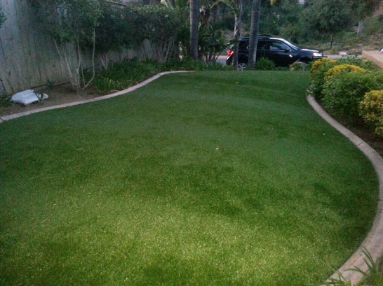 Artificial Grass Photos: Installing Artificial Grass Casmalia, California Home And Garden, Front Yard Ideas