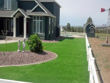 Artificial Grass Photos: Lawn Services Carpinteria, California Paver Patio, Front Yard Ideas
