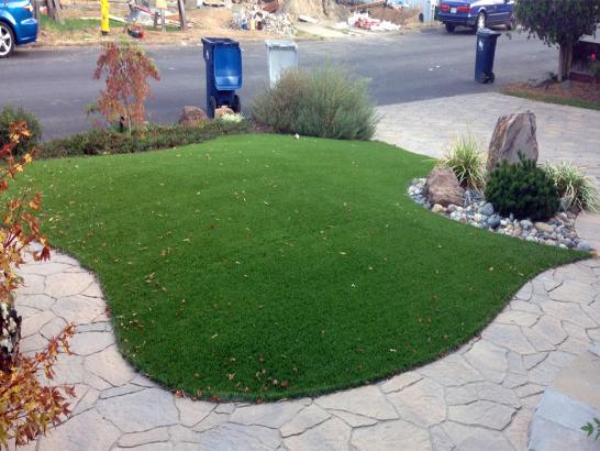 Artificial Grass Photos: Lawn Services Guadalupe, California Landscaping