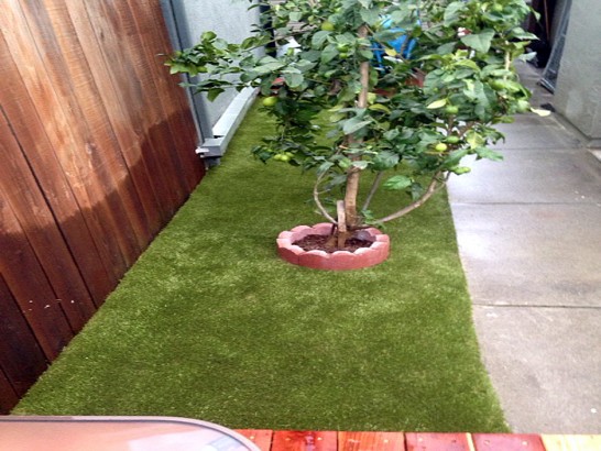 Lawn Services Los Olivos, California Watch Dogs, Beautiful Backyards artificial grass