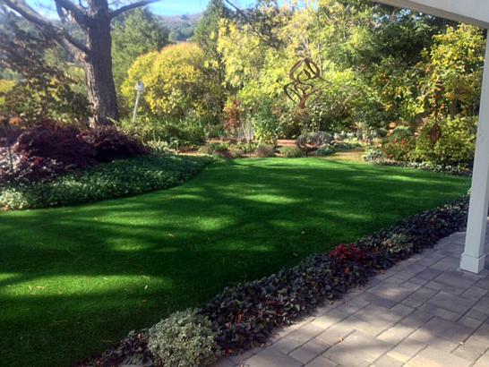 Artificial Grass Photos: Lawn Services Montecito, California Landscape Ideas, Backyard Ideas