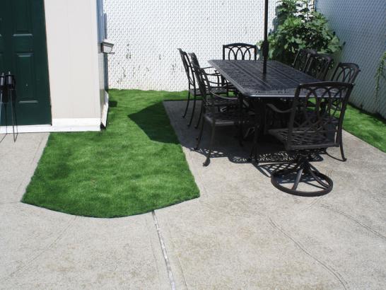 Artificial Grass Photos: Lawn Services Orcutt, California Rooftop, Backyard Landscape Ideas