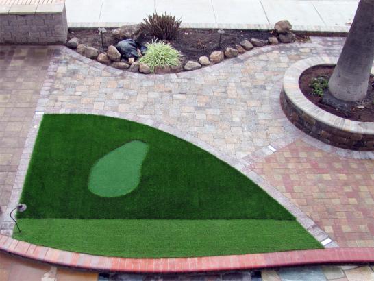 Artificial Grass Photos: Outdoor Carpet Ballard, California Landscape Photos, Front Yard Design