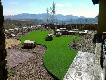 Artificial Grass Photos: Outdoor Carpet Garey, California Watch Dogs, Backyard Ideas