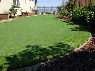 Artificial Grass Photos: Outdoor Carpet Lompoc, California Landscaping, Backyard Landscape Ideas