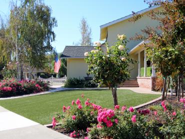 Artificial Grass Photos: Outdoor Carpet Los Alamos, California Lawns, Small Front Yard Landscaping