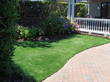 Artificial Grass Photos: Outdoor Carpet Montecito, California Backyard Deck Ideas, Small Front Yard Landscaping