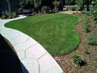 Artificial Grass Photos: Outdoor Carpet Montecito, California Landscape Photos, Landscaping Ideas For Front Yard