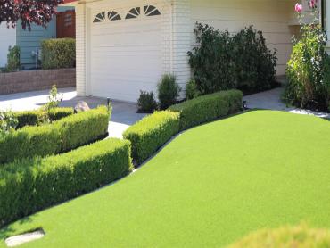 Artificial Grass Photos: Outdoor Carpet Orcutt, California Home And Garden, Small Front Yard Landscaping