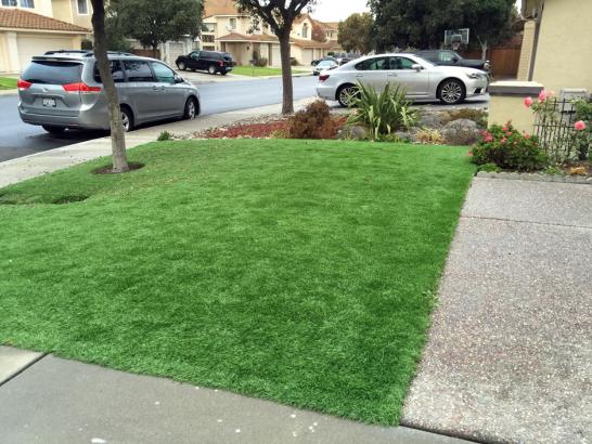 Artificial Grass Photos: Outdoor Carpet Santa Ynez, California Paver Patio, Front Yard Landscape Ideas