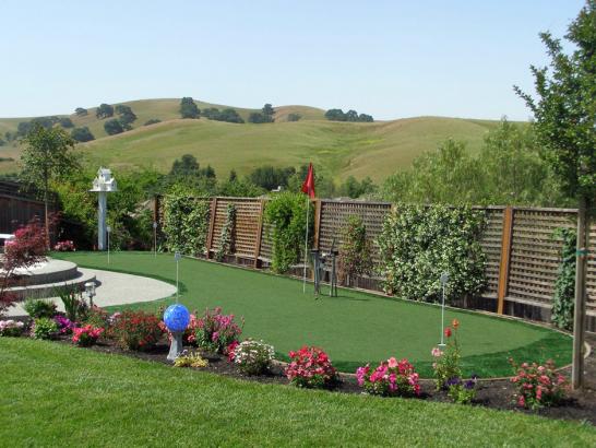 Artificial Grass Photos: Outdoor Carpet Sisquoc, California Lawns, Backyard Landscaping