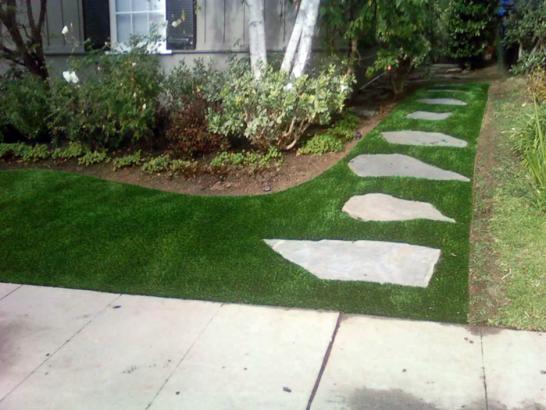 Artificial Grass Photos: Outdoor Carpet Vandenberg Village, California Gardeners, Small Front Yard Landscaping