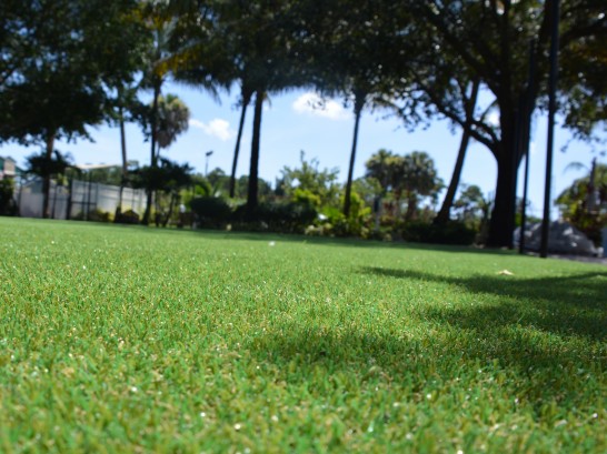 Artificial Grass Photos: Plastic Grass Mission Canyon, California Lawns, Parks