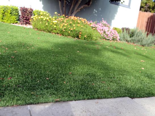 Artificial Grass Photos: Plastic Grass Santa Barbara, California Landscape Photos, Front Yard Landscaping Ideas