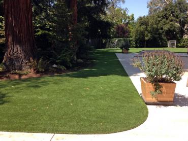 Artificial Grass Photos: Synthetic Grass Cost Goleta, California Pet Turf, Landscaping Ideas For Front Yard