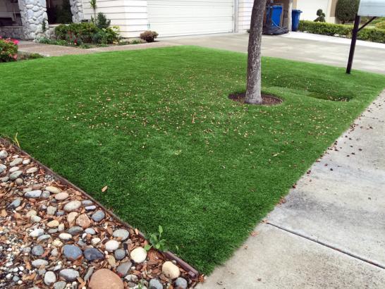 Artificial Grass Photos: Synthetic Grass Cost Mission Hills, California Roof Top, Front Yard