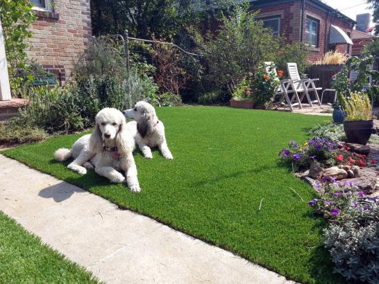 Artificial Grass Photos: Synthetic Grass Cost Montecito, California Pet Turf, Front Yard Landscaping