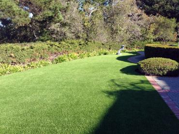Artificial Grass Photos: Synthetic Grass Cost Santa Ynez, California Garden Ideas, Front Yard Ideas