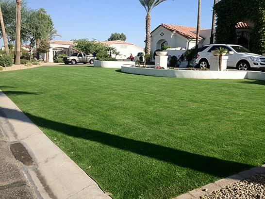 Artificial Grass Photos: Synthetic Grass Cuyama, California Roof Top, Front Yard Ideas