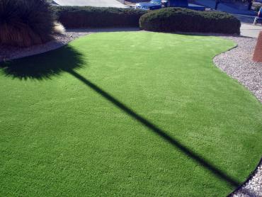 Artificial Grass Photos: Synthetic Grass Los Alamos, California Home And Garden, Front Yard Landscape Ideas
