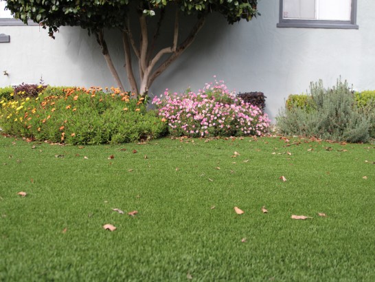 Artificial Grass Photos: Synthetic Grass Mission Hills, California Lawn And Garden, Small Front Yard Landscaping
