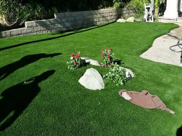 Artificial Grass Photos: Synthetic Grass Santa Ynez, California Backyard Playground, Front Yard Landscaping Ideas