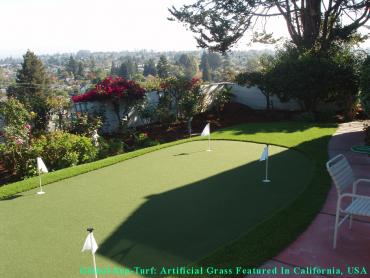 Artificial Grass Photos: Synthetic Lawn Ballard, California How To Build A Putting Green, Backyard Ideas