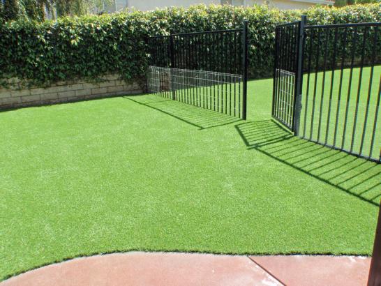 Artificial Grass Photos: Synthetic Lawn Garey, California Dog Run, Front Yard Landscaping Ideas