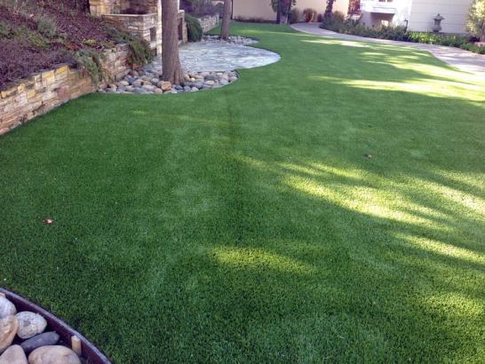 Artificial Grass Photos: Synthetic Lawn Mission Canyon, California Landscaping, Backyard Makeover
