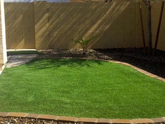 Artificial Grass Photos: Synthetic Lawn Santa Ynez, California Home And Garden, Backyard Makeover
