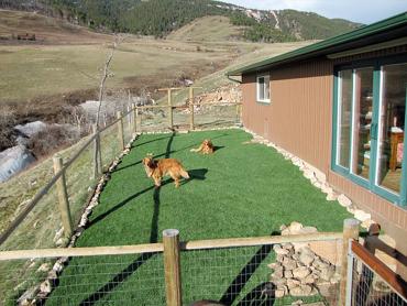 Artificial Grass Photos: Synthetic Turf Guadalupe, California Dog Run,  Dog Kennels