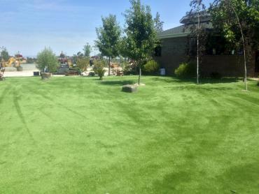 Artificial Grass Photos: Synthetic Turf Mission Canyon, California Grass For Dogs, Parks