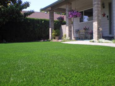 Artificial Grass Photos: Synthetic Turf Santa Barbara, California Lawns, Small Front Yard Landscaping