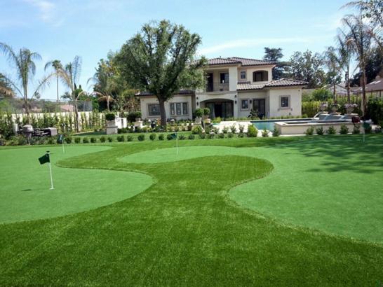 Artificial Grass Photos: Synthetic Turf Solvang, California Home And Garden, Front Yard Design