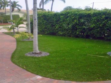 Artificial Grass Photos: Synthetic Turf Solvang, California Landscape Photos, Landscaping Ideas For Front Yard