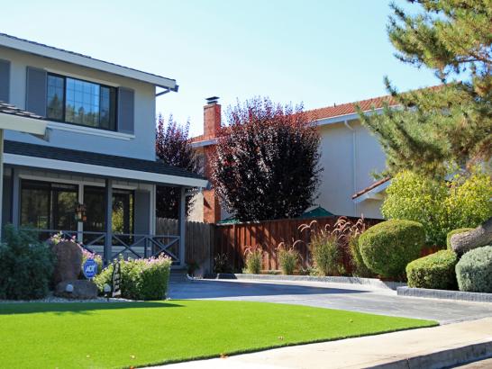 Artificial Grass Photos: Synthetic Turf Supplier Cuyama, California Landscape Photos, Front Yard Landscaping