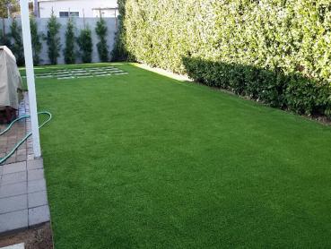 Artificial Grass Photos: Synthetic Turf Supplier Lompoc, California Indoor Dog Park, Backyards
