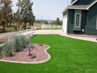 Artificial Grass Photos: Synthetic Turf Supplier Los Alamos, California Landscaping Business, Front Yard Landscape Ideas