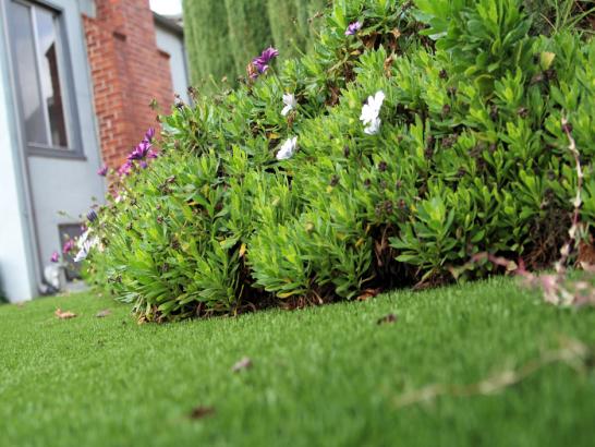 Artificial Grass Photos: Synthetic Turf Supplier Los Olivos, California Home And Garden, Front Yard