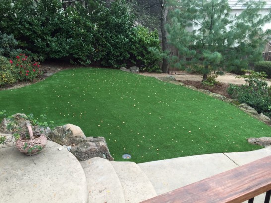 Artificial Grass Photos: Synthetic Turf Supplier Orcutt, California Landscaping Business, Backyard Makeover