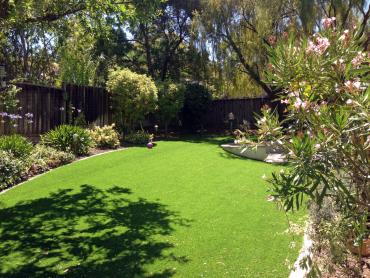 Artificial Grass Photos: Synthetic Turf Supplier Orcutt, California Lawn And Garden, Backyard Design