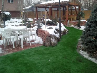 Artificial Grass Photos: Synthetic Turf Supplier Santa Ynez, California Lawn And Landscape, Backyard