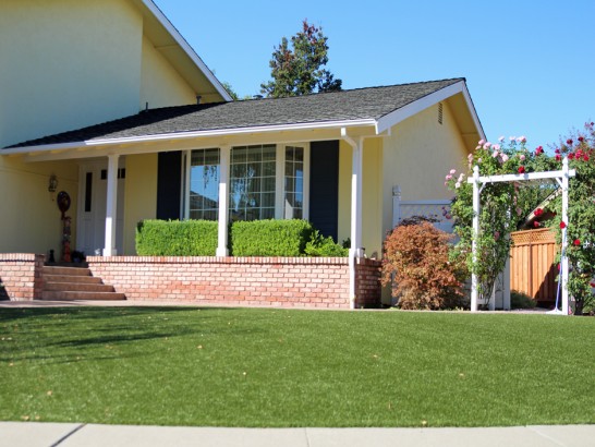 Artificial Grass Photos: Synthetic Turf Supplier Summerland, California Backyard Deck Ideas, Front Yard Landscape Ideas