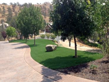 Artificial Grass Photos: Synthetic Turf Toro Canyon, California Lawns, Landscaping Ideas For Front Yard